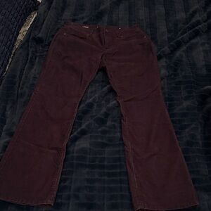 LOFT Dark Purple Boot Cut Corduroy pants 28/6P
